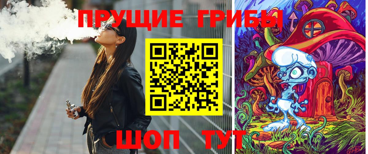 Галлюциногенные грибы Psilocybe Новоалтайск