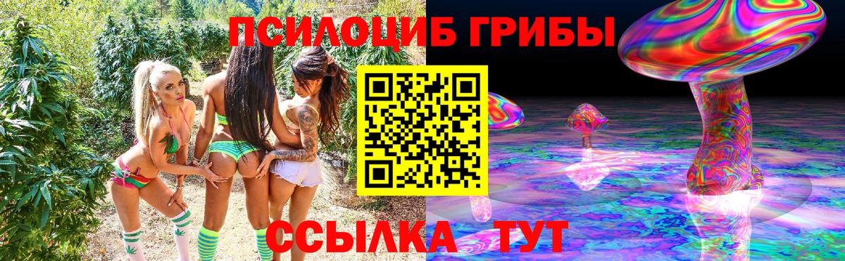 Новоалтайск  Галлюциногенные грибы Psilocybine cubensis  Вход с VPN 